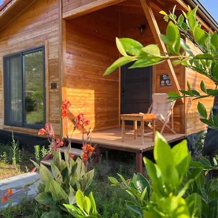 Lemon Garden Lodge Cirali Bagian luar foto