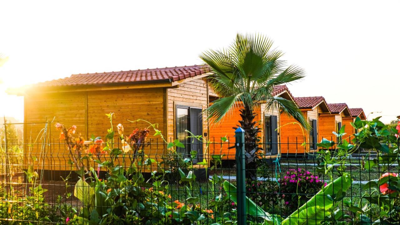 Lemon Garden Lodge Cirali Bagian luar foto