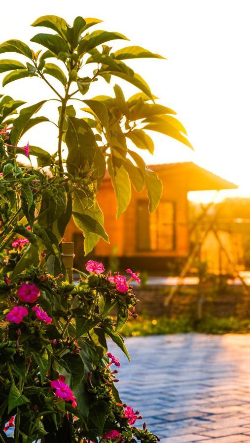Lemon Garden Lodge Cirali Bagian luar foto