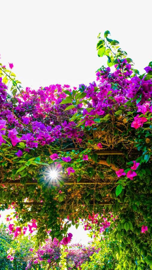 Lemon Garden Lodge Cirali Bagian luar foto