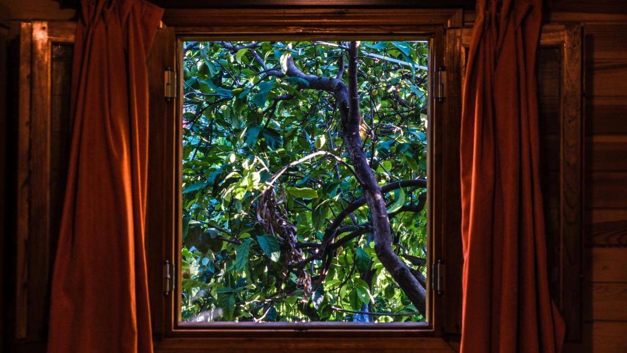 Lemon Garden Lodge Cirali Bagian luar foto