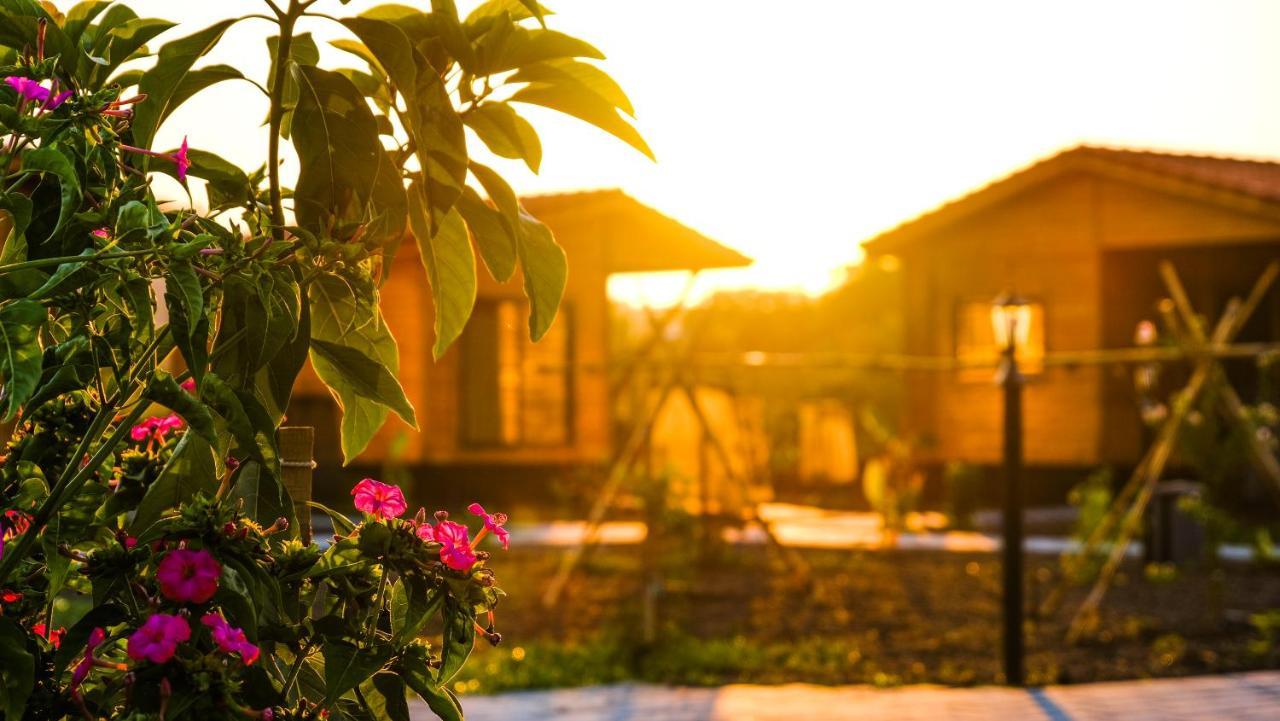 Lemon Garden Lodge Cirali Bagian luar foto