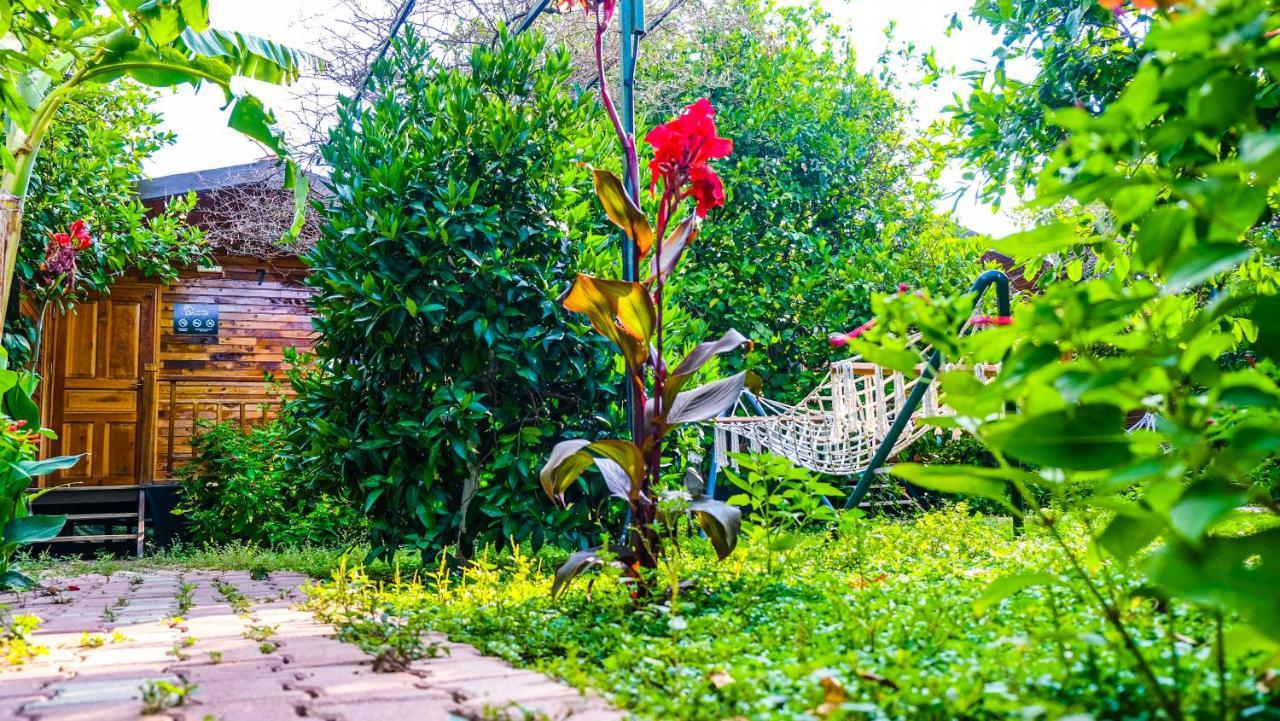 Lemon Garden Lodge Cirali Bagian luar foto
