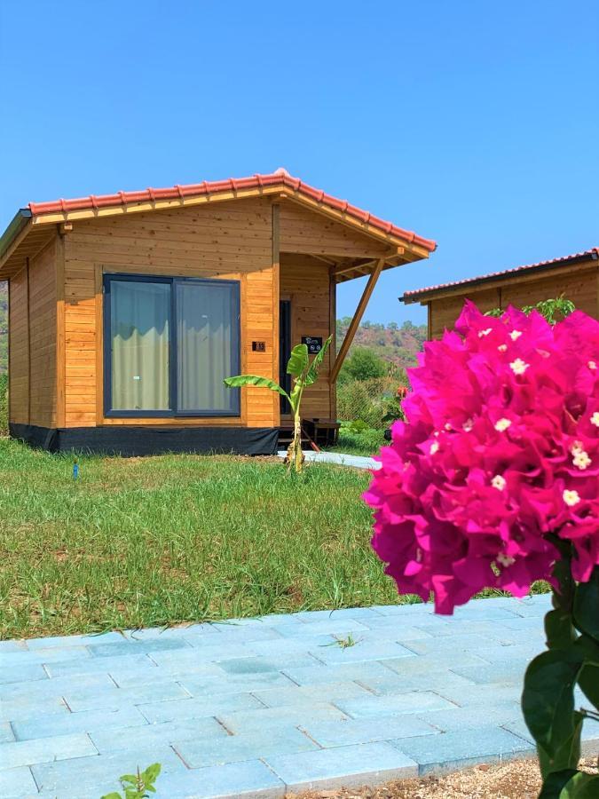 Lemon Garden Lodge Cirali Bagian luar foto