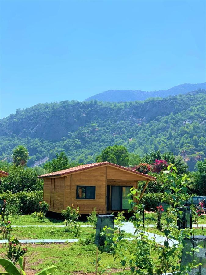 Lemon Garden Lodge Cirali Bagian luar foto