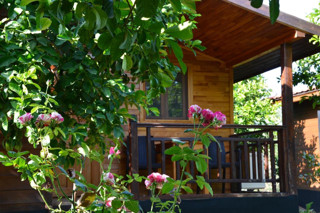 Lemon Garden Lodge Cirali Bagian luar foto