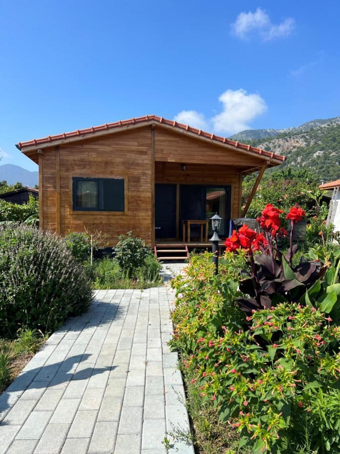 Lemon Garden Lodge Cirali Bagian luar foto