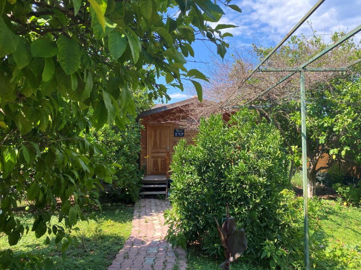 Lemon Garden Lodge Cirali Bagian luar foto