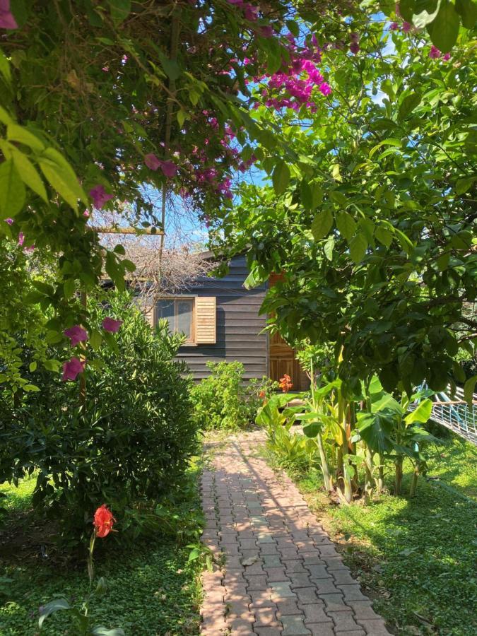 Lemon Garden Lodge Cirali Bagian luar foto