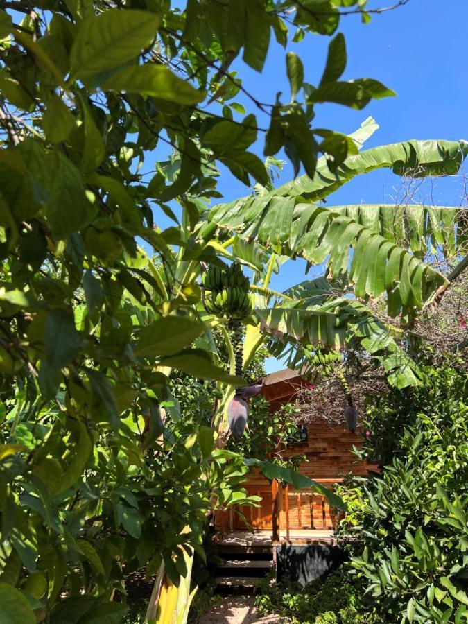 Lemon Garden Lodge Cirali Bagian luar foto
