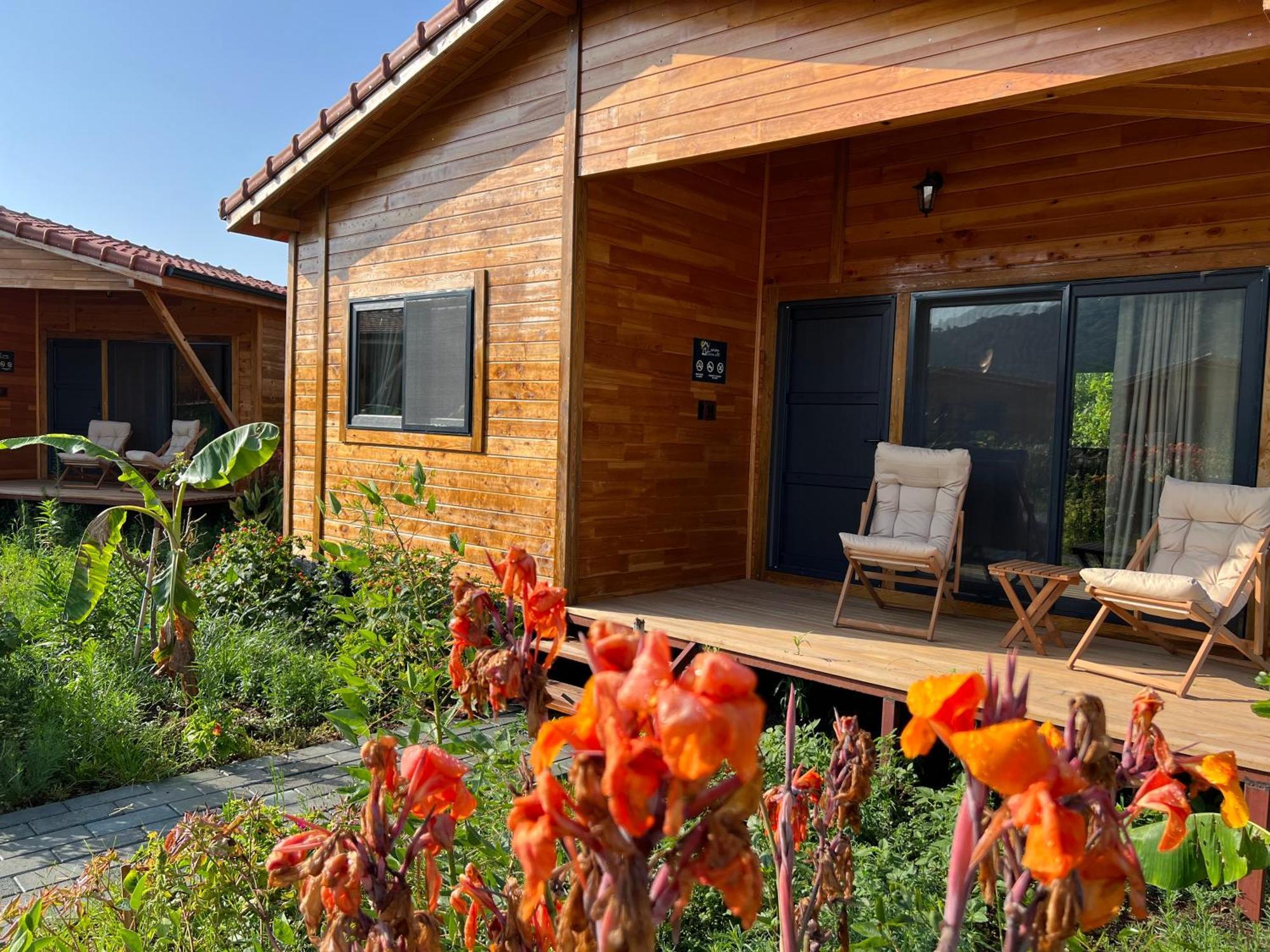 Lemon Garden Lodge Cirali Bagian luar foto