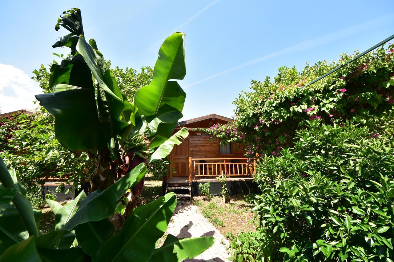 Lemon Garden Lodge Cirali Bagian luar foto