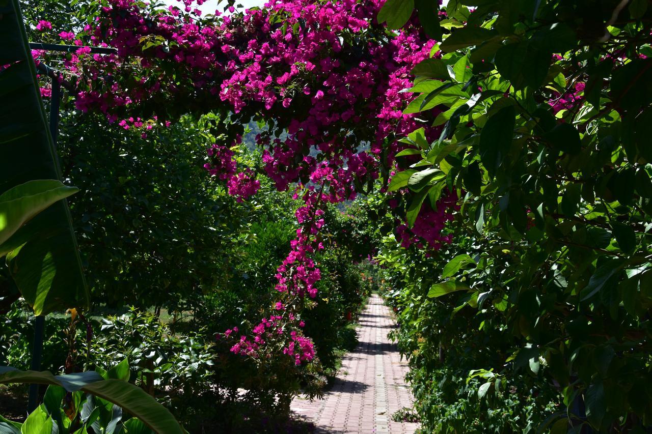 Lemon Garden Lodge Cirali Bagian luar foto