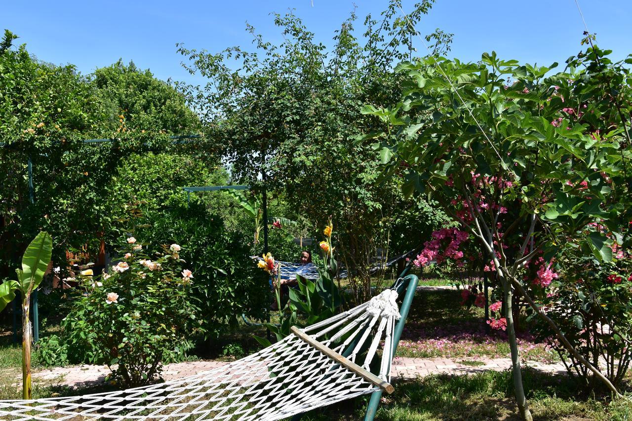 Lemon Garden Lodge Cirali Bagian luar foto